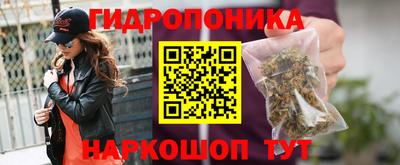 прущие крисы Краснодар
