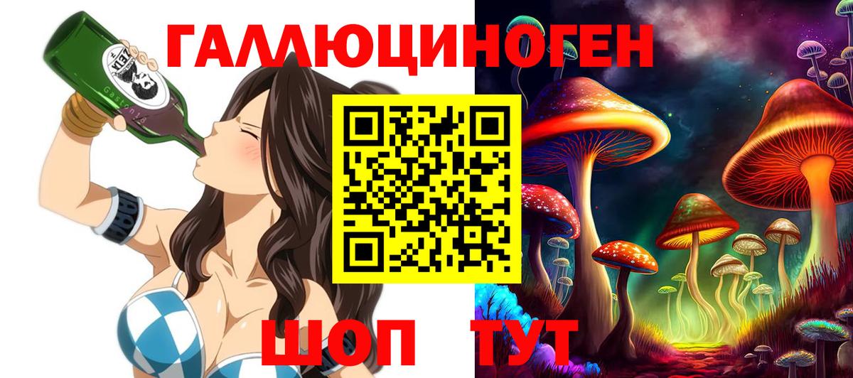 Зеленогорск  Псилоцибиновые грибы мухоморы  Вход с VPN 